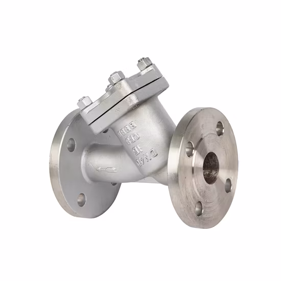 Filtros em Y de aço fundido/ferro fundido