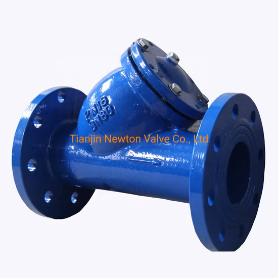 Filtro em Y de Ferro Fundido Flange Duplo Filtro em Y de Aço Inoxidável DIN/JIS/ASME/ASTM/GB