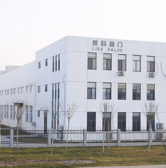 Válvula de esfera montada em munhão hemisférica flangeada semi-esfera excêntrica API industrial