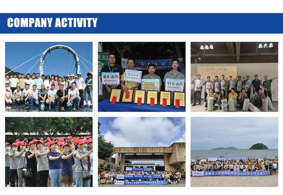 Floating Trunnion Mounted Stainless Steel Ball Valve Gas Carbon Steel Metal Welding Flanged Ball Valve