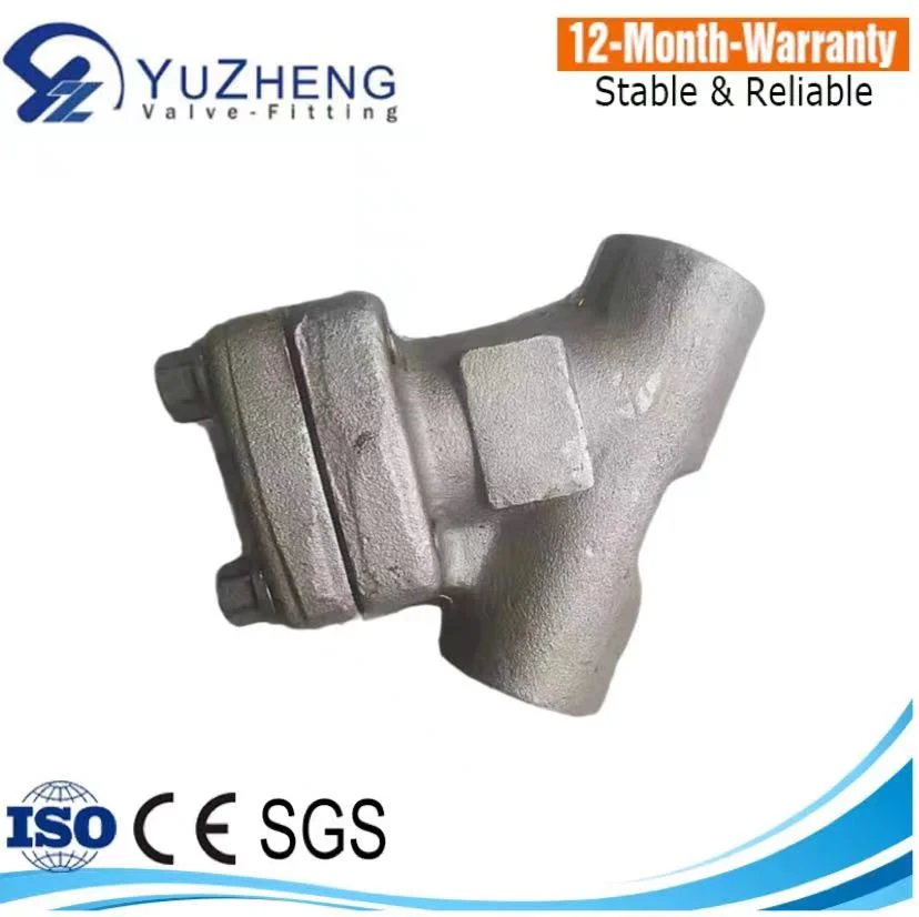 Forged Steel 304/316/A105 Thread Y Strainer