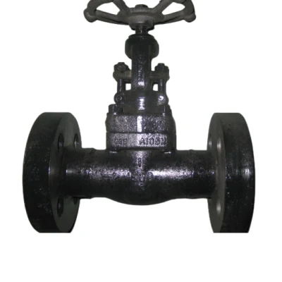 Roda de mão API de alta pressão 800 1500 2500 lbs Bw Solda de topo inoxidável 304 316 Aço carbono A105 Solda de soquete Bsp NPT Rosca forjada Flangeada Válvula gaveta